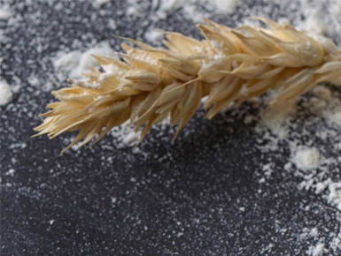 Wheat and flour, representing Continental Mills ingredient batching