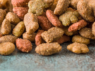 DAD'S dry pet food kibble