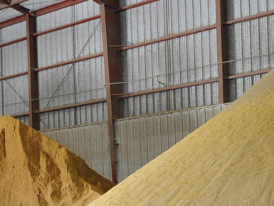Grain stockpiles at the Golden Triangle Energy ethanol plant