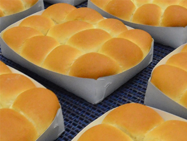 Trays of King's Hawaiian rolls on a bakery line