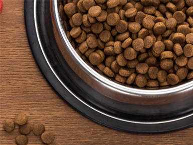 A bowl of Natura pet food