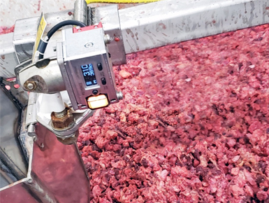 Meat by-product moving through a rendering line