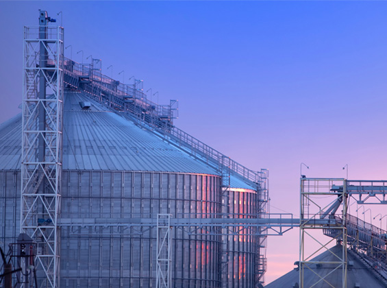 Feed and grain processing facility